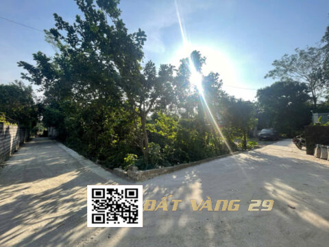 Bán đất Yên Kiện Đông Sơn 657m² – Ô tô tải đỗ cửa – Giá đầu tư