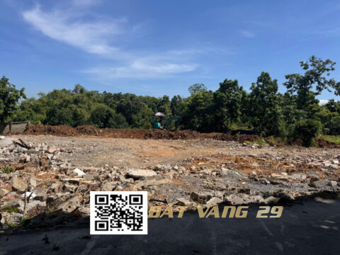 Bán đất Phương Hạnh Xuân Mai 251.3m² – Lô góc cực đẹp – gần trục chính liên xã T4