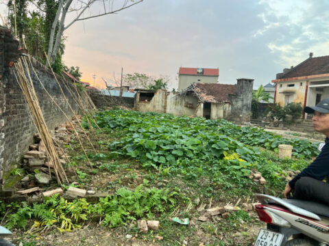 Bán đất Đồng Dâu Tốt Động 150m², Full thổ cư – Gần Đường Nguyễn Văn Trỗi, giá tốt cho nhà đầu tư