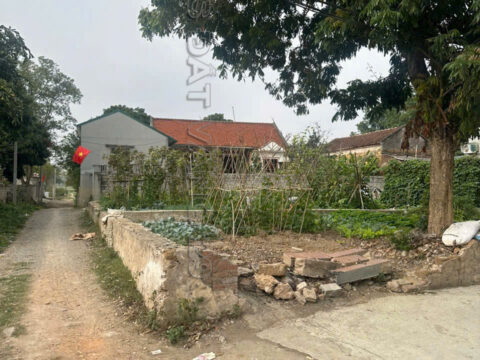 Bán đất thôn Nam Hài Xã Xuân Mai 71,8m² – Nằm trong khu dân cư,giá rẻ