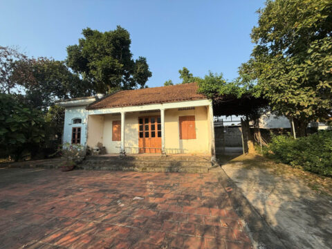 Bán đất Tiến Tiên Tân Tiến giá rẻ 894m² , khu dân cư hiện hữu, rất phù hợp cho nhà đầu tư dài hạn 