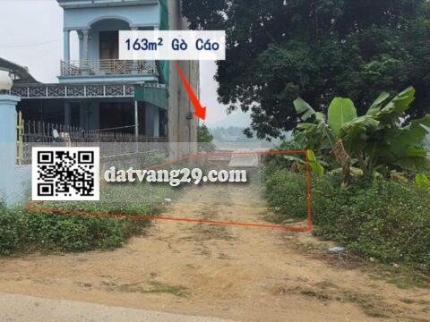 Bán đất Thuỷ Xuân Tiên 163m² Mặt đường Gò Cáo kinh doanh buôn bán cực đỉnh