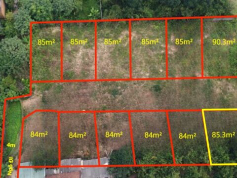 Bán đất Phân Lô Gò Cáo Xuân Mai 85,3m² (LK6) – Pháp lý rõ ràng – Giá tốt