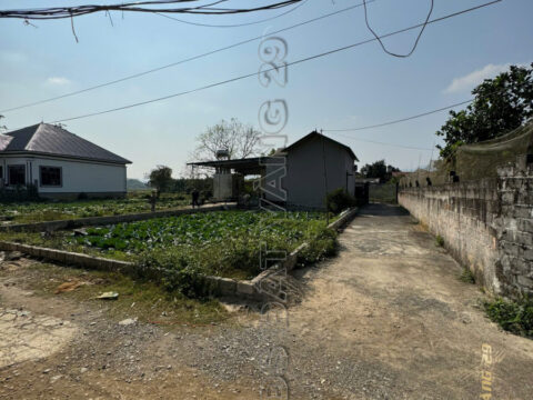 BÁN ĐẤT HẠNH CÔN XUÂN MAI GIÁ RẺ 88,8m² | LÔ GÓC ĐẸP, HẠ TẦNG HOÀN THIỆN – GIÁ TỐT