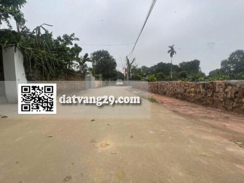 Bán Đất Thổ Cư Tân Lập Trần Phú 168.6m² | Vị trí đẹp – Pháp lý rõ ràng – Giá đầu tư