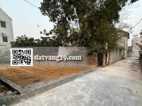 Bán Đất Thanh Bình Chương Mỹ 100m² – Tiềm năng sinh lời cao – Giá đầu tư