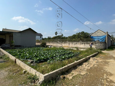 BÁN ĐẤT THỔ CƯ HẠNH CÔN XUÂN MAI 88,7m² | KHU DÂN CƯ ĐÔNG, PHÁP LÝ CHUẨN – GIÁ TỐT