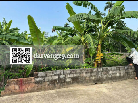 BÁN ĐẤT GÒ CÁO THỦY XUÂN TIÊN 148,1m² – Khu dân cư hiện hữu, an ninh tốt – Giá đầu tư