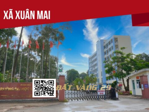 Mua bán đất ký gửi bất động sản tại Xã Xuân Mai TP Hà Nội | Văn phòng giao dịch uy tín BĐS Đất Vàng 29