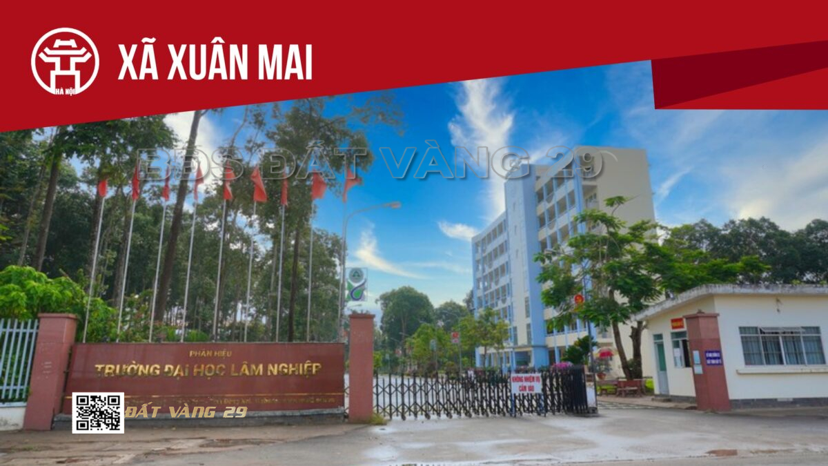 Mua bán đất ký gửi bất động sản tại Xã Xuân Mai TP Hà Nội | Văn phòng giao dịch uy tín BĐS Đất Vàng 29