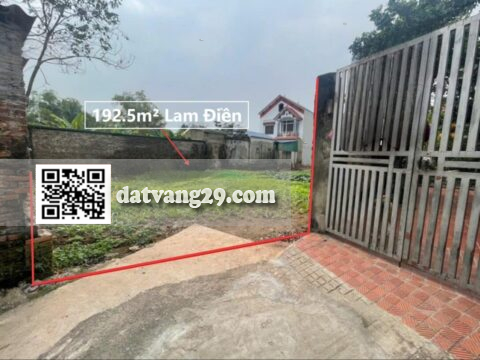 Bán đất Lương Xá Lam Điền 192.5m² Đường trước đất rộng, ô tô vào thuận tiện