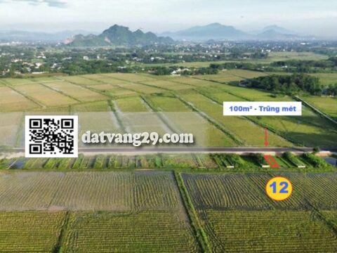 BÁN ĐẤT THỔ CƯ TRŨNG MÉT 100m² (T12) – VỊ TRÍ ĐẸP – GIÁ ĐẦU TƯ