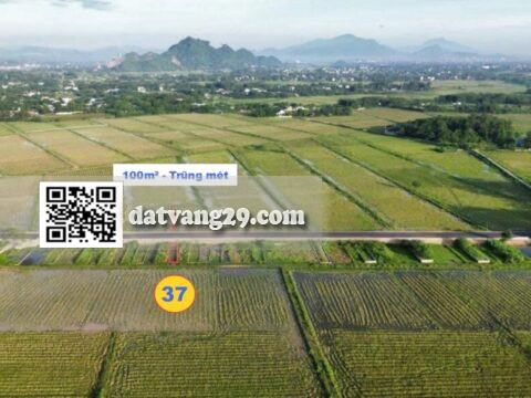 BÁN ĐẤT THỔ CƯ VEN ĐÔ 100m² Trũng Mét – mặt tiền 5m cực đẹp