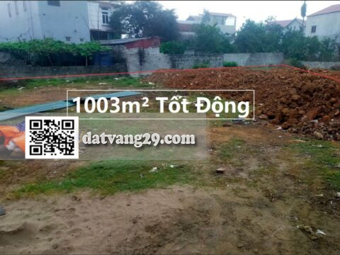 Bán đất Xóm Đừn,Xã Tốt Động 1003m² CHIA LÔ ĐẦU TƯ CỰC ĐẸP