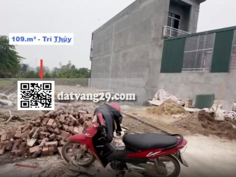 BÁN ĐẤT TRÍ THỦY XÃ XUÂN MAI 109.1m² – VỊ TRÍ ĐẸP, SỔ ĐỎ SẴN