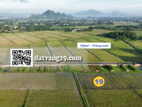 BÁN ĐẤT TRUNG MÉT HOÀNG VĂN THỤ 100m² (T19) – MẶT ĐƯỜNG TRỤC CHÍNH – GIÁ ĐẦU TƯ