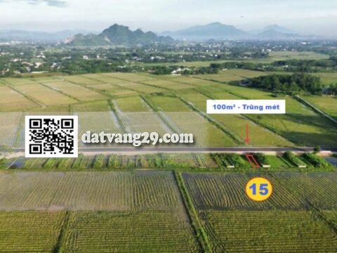 BÁN ĐẤT TRUNG MÉT HOÀNG VĂN THỤ GIÁ RẺ 100m² (T15)– ĐẦU TƯ AN TOÀN – SINH LỜI CAO