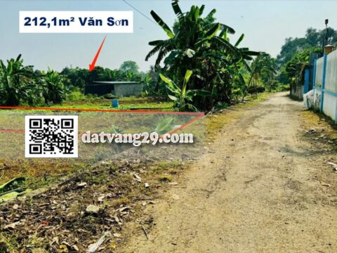 Bán đất Văn Sơn,Hoàng Văn Thụ 212,1m² sổ đỏ chính chủ, sang tên nhanh gọn