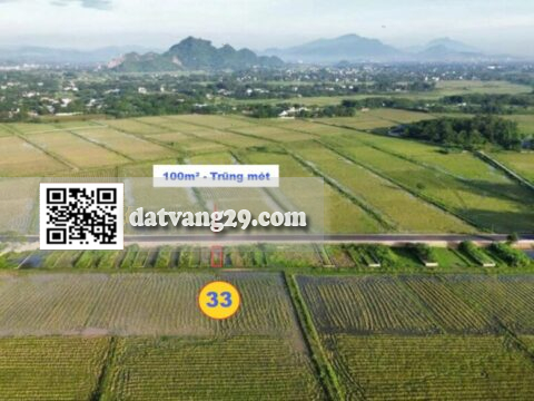 Cần tiền bán gấp lô 100m² Trũng Mét – Giá rẻ chưa từng có cho khách thiện chí