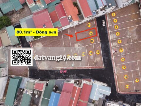 Chính chủ bán 80.1m² đất phân lô Phố Gốt – Sổ đỏ sẵn sàng