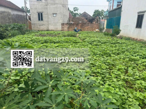 Bán đất thổ cư Mỹ Lương Chương Mỹ 344m² – Sổ đỏ chính chủ, khu dân cư hiện hữu