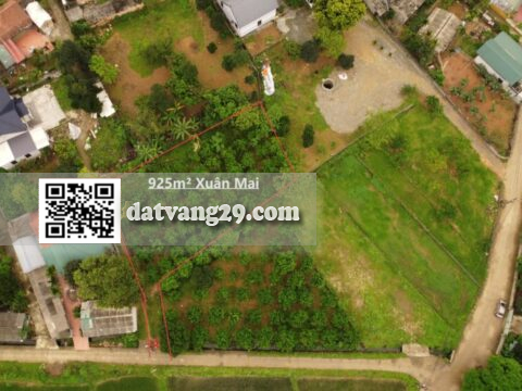 Bán đất Xuân Mai 925m² Giá chỉ 9 triệu/m² đầu tư lâu dài hoặc làm nhà vườn nghỉ dưỡng