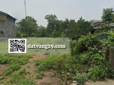 Bán Đất Hạnh Côn Nam Phương Tiến 667m² – Diện Tích Lớn – Tiềm Năng Phân Lô & Nghỉ Dưỡng