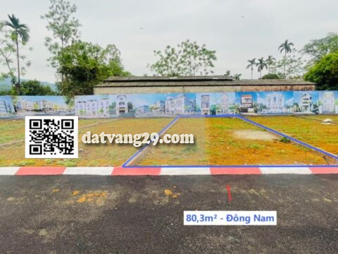 BÁN ĐẤT NỀN XUÂN MAI GIÁ RẺ 80,3m² – GIÁ ĐẦU TƯ