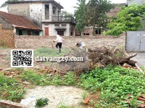 Bán Đất Thổ Cư Trung hoà Chương Mỹ Giá Rẻ 87.1m² – Khu dân cư đông, Sổ đỏ chính chủ – Giá Đầu Tư