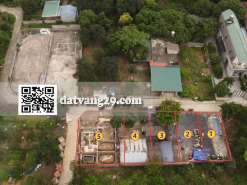 Bán Đất Phân Lô Yên Kiện Đông Sơn 80.7m² – Pháp lý chuẩn, Sổ đỏ sẵn – Giá đầu tư