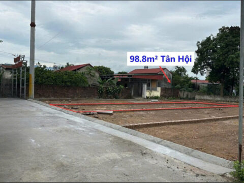 Bán Đất Phân Lô Tân Hội Trần Phú 98.8m² – Gần trục chính đường liên xã, thuận tiện đi lại – Giá F0