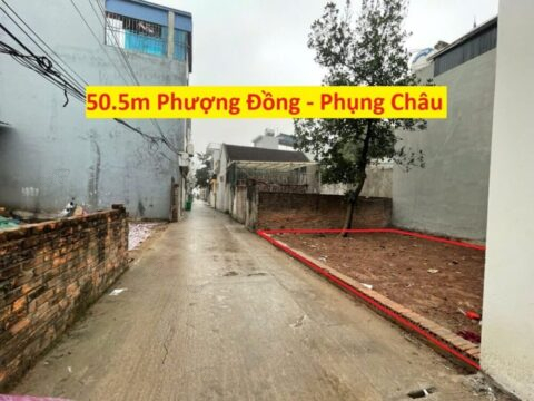 Bán Đất Phượng Đồng Phụng Châu Giá Rẻ 50,5m²  – Vị Trí Đẹp – Giá Cực Tốt