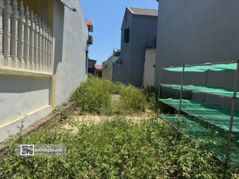 Bán Đất Thổ Cư Đầm Bung Phú Nghĩa 62,3m² – Sổ đỏ chính chủ – Giá tốt