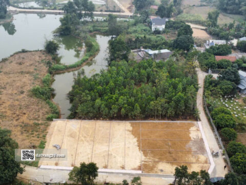 Bán Đất Thổ Cư Dẻ Cau Thanh Sơn 101,6m² – Pháp lý rõ ràng, sổ đỏ chính chủ – Giá F0 