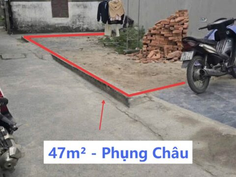 Bán Đất Thổ Cư Phượng Nghĩa Phụng Châu 47m² – Lô Góc Cực Đẹp – Khu dân cư đông – Giá Đầu tư