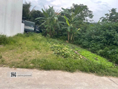 Bán Đất Thổ Cư Tân Mỹ Thụy Hương 46.2m² – Pháp lý rõ ràng, sổ ỏ chính chủ – Giá đầu tư