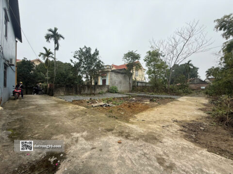 Bán Đất Thổ Cư Đồi Bé Thanh Bình 55.6m² – Pháp lý chuẩn, sổ đỏ chính chủ – Giá F0