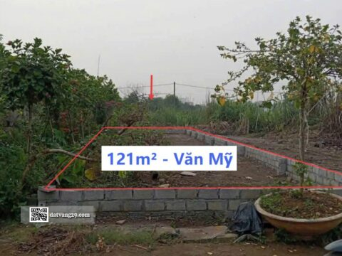 Bán Đất Thổ Cư Văn Mỹ Hoàng Văn Thụ 121m² – Vị trí đẹp – Pháp lý rõ ràng – Giá đầu tư