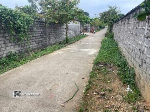 Bán Đất đẹp tại Yên Trị Phú Thọ 548m² – Có sẵn nhà xưởng,tiện kinh doanh buôn bán