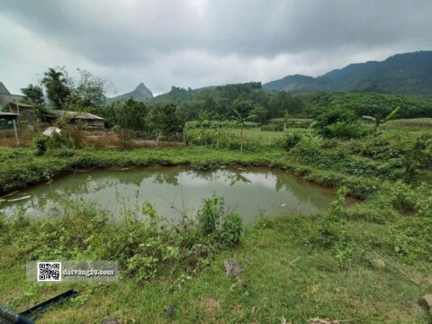 Bán đất Cao Phong Hoà Bình 2.300m²- Siêu phẩm nhà vườn bám suối 