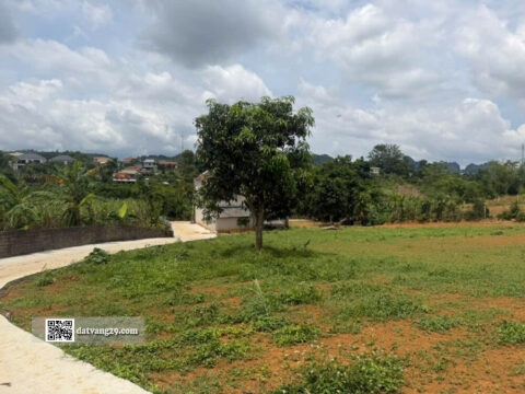 Bán đất thổ cư Cao Phong Hoà Bình 373m²- Giá đầu tư, mặt bằng đẹp, sổ đỏ chính chủ