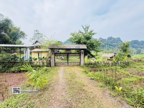 Bán đất trục chính liên Tân Lạc Hòa Bình 494m²- phù hợp làm nhà vườn nghỉ dưỡng hoặc đầu tư lâu dài
