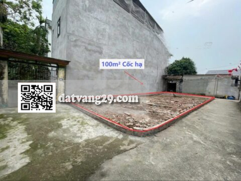 Bán đất Cốc Hạ Quảng Bị 100m² Lô góc đẹp Giao thông thuận tiện