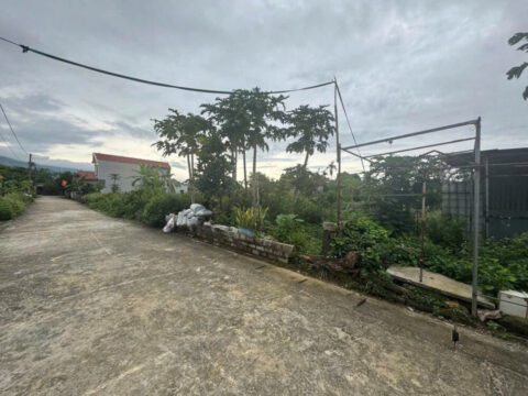 BÁN ĐẤT TÁI ĐỊNH CƯ HOÀNG VĂN THỤ 120m² – VIEW SÂN GOLF SKY LAKE – FULL THỔ CƯ F15