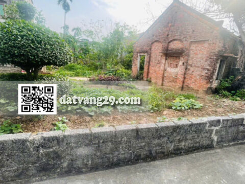 Bán Đất Thổ Cư Hoàng Diệu 846m² – Sát Chợ Rồng – Tiềm Năng Phân Lô, Làm Nhà Vườn Cực Đẹp