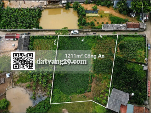Bán Đất Thổ Cư Hoàng Văn Thụ 1211m² – Khu Dân Cư Đông – Giá Đầu Tư F0
