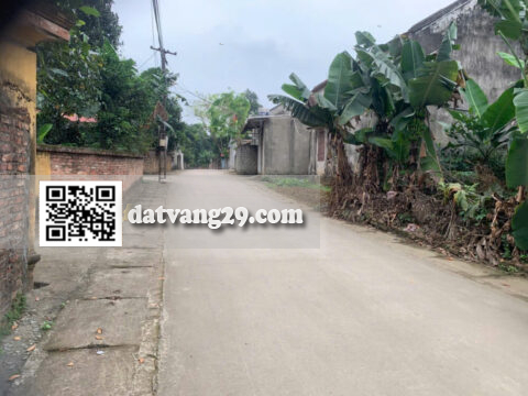 Bán Đất Thổ Cư Thuần Lương Hoàng Văn Thụ 878m² – Sổ đỏ chính chủ – Giá Đầu Tư F0