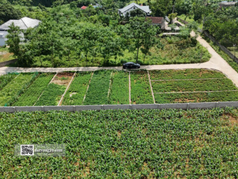 Bán đất thổ cư Lương Sơn Hoà Bình 85,6m² (LK4) – Giá đầu tư, sổ đỏ chính chủ